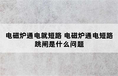 电磁炉通电就短路 电磁炉通电短路跳闸是什么问题